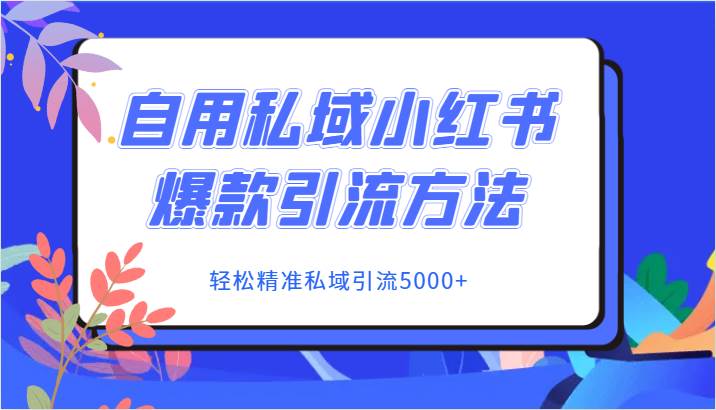 自用私域小红书爆款引流方法，轻松精准私域引流5000+-三石淘金网