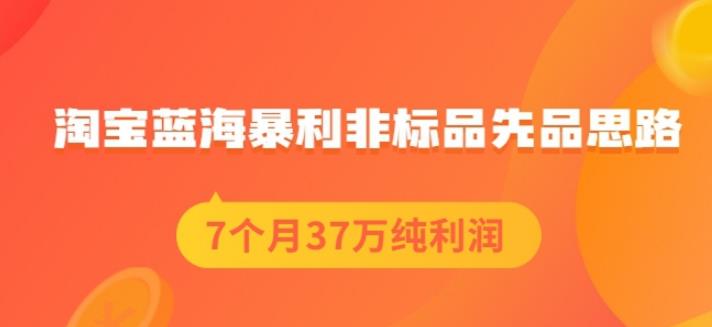 盗坤淘宝蓝海暴利非标品先品思路，7个月37万纯利润，压箱干货分享！【付费文章】-三石资源库