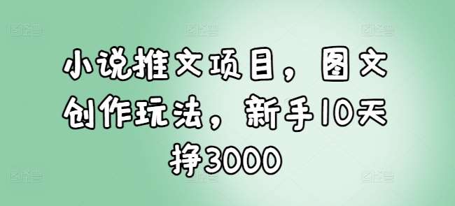 小说推文项目，图文创作玩法，新手10天挣3000-三石资源库