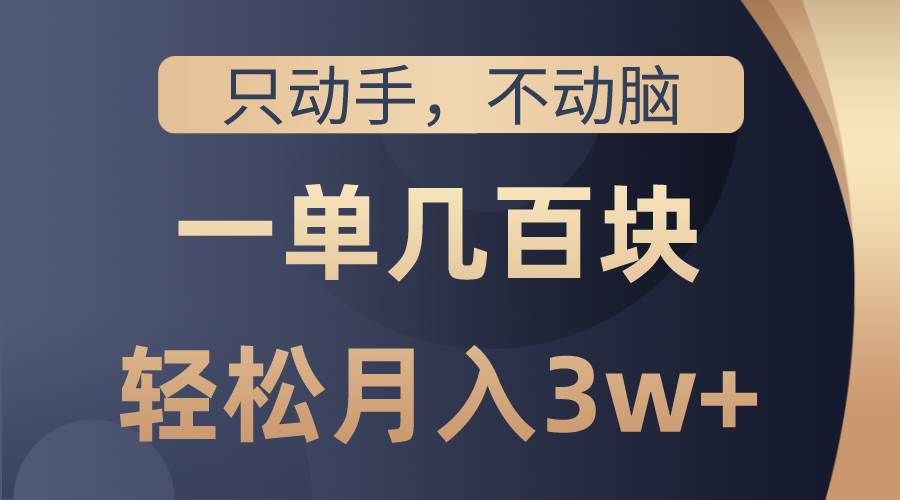 （10561期）只动手不动脑，一单几百块，轻松月入3w+，看完就能直接操作，详细教程-三石资源库