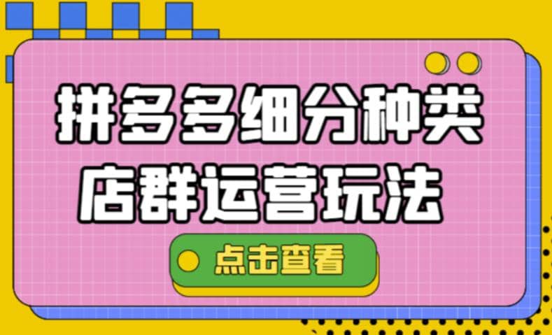 拼多多细分种类店群运营玩法3.0，11月最新玩法，小白也可以操作-三石资源库