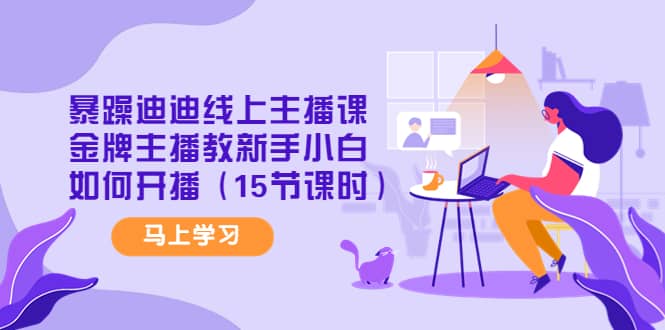 暴躁迪迪线上主播课，金牌主播教新手小白如何开播（15节课时）-三石资源库