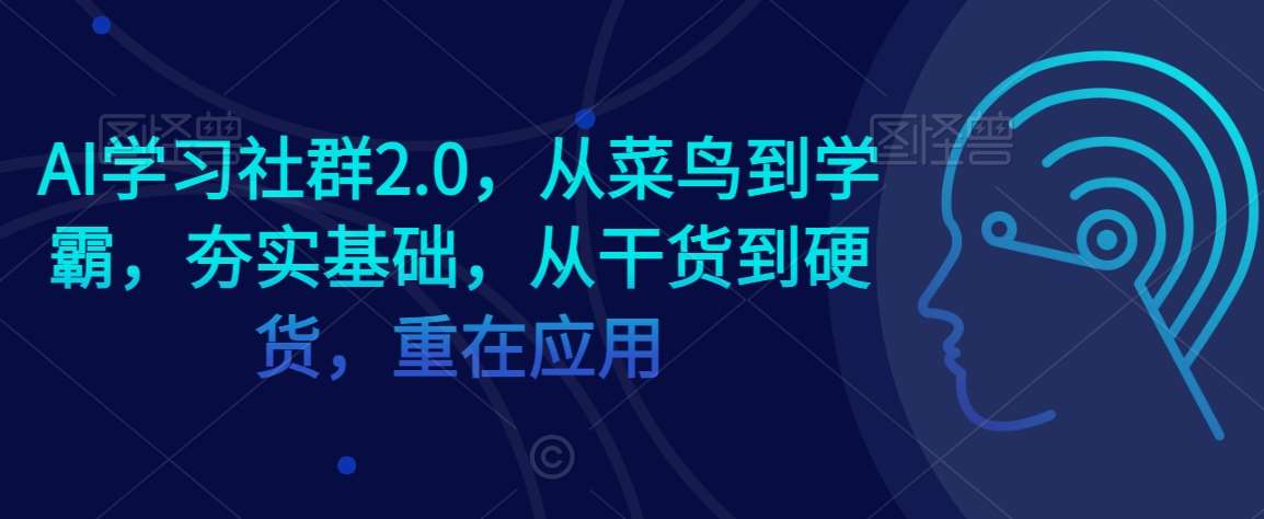 AI学习社群2.0,从菜鸟到学霸,夯实基础,从干货到硬货,重在应用-三石资源库