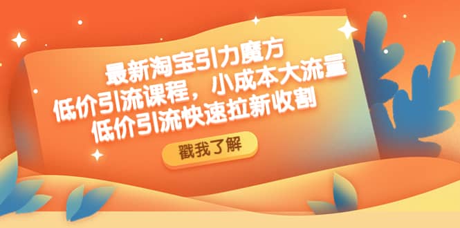 最新淘宝引力魔方低价引流实操：小成本大流量-三石资源库