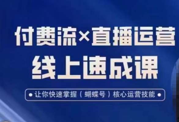 视频号付费流实操课程，付费流✖️直播运营速成课，让你快速掌握视频号核心运营技能-三石资源库