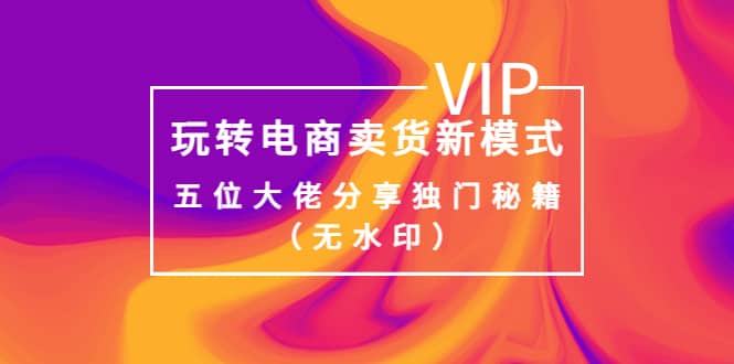 某收费培训：玩转电商卖货新模式，五位大佬分享独门秘籍（无水印）-三石资源库