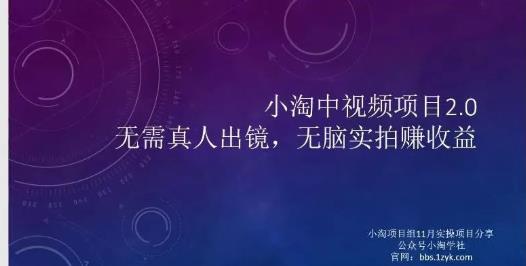 小淘项目组网赚永久会员，绝对是具有实操价值的，适合有项目做需要流程【持续更新】-三石资源库