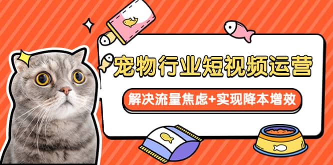宠物/行业短视频运营 流量增长的一层窗户纸 解决流量焦虑+实现降本增效-三石淘金网