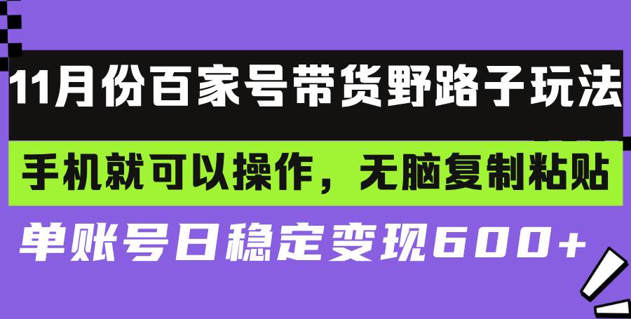 （13281期）百家号带货野路子玩法 手机就可以操作，无脑复制粘贴 单账号日稳定变现…-三石资源库