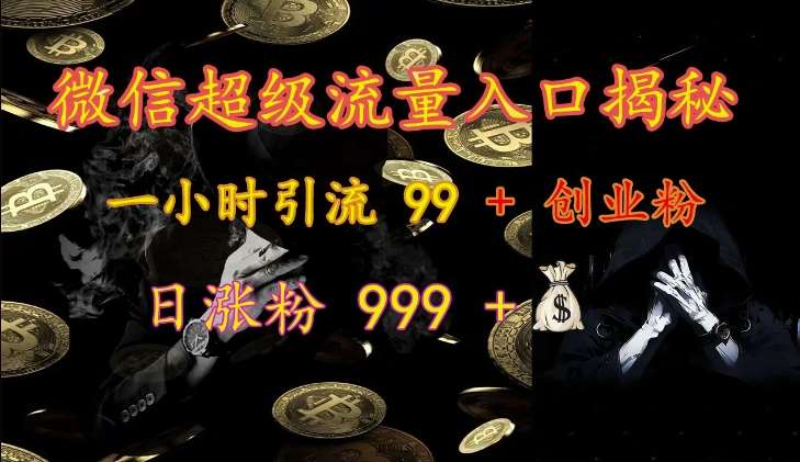 微信超级流量入口揭秘：一小时引流 99 + 创业粉，日涨粉 999 +-三石资源库