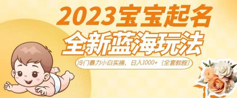 2023宝宝起名全新蓝海玩法，冷门暴力小白实操，日入1000+（全套教程）【揭秘】-三石资源库