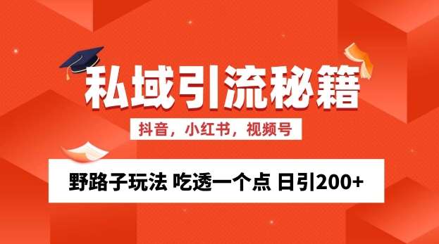 私域流量的精准化获客方法 野路子玩法 吃透一个点 日引200+ 【揭秘】-三石资源库