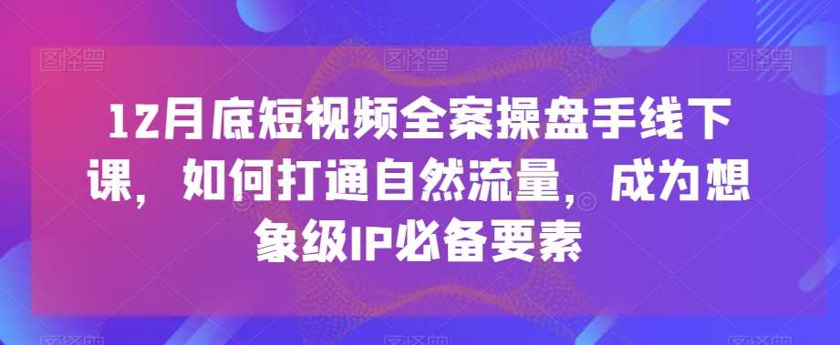 12月底短视频全案操盘手线下课，如何打通自然流量，成为想象级IP必备要素-三石资源库