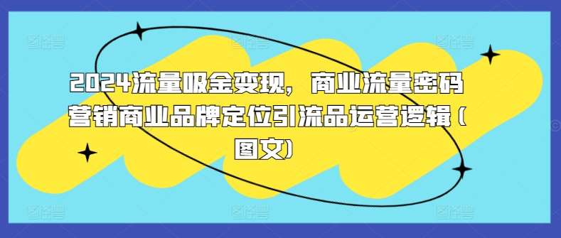 2024流量吸金变现，商业流量密码营销商业品牌定位引流品运营逻辑(图文)-三石资源库