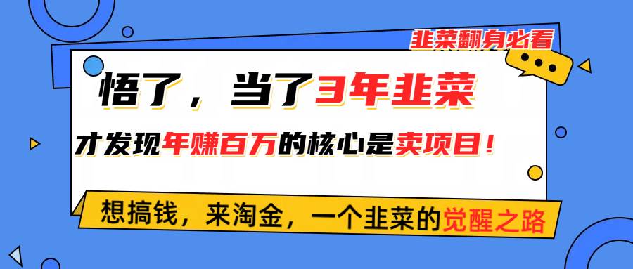（10759期）悟了，当了3年韭菜，才发现网赚圈年赚100万的核心是卖项目，含泪分享！-三石资源库