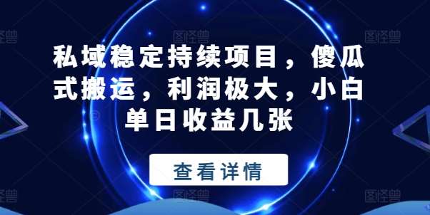 私域稳定持续项目，傻瓜式搬运，利润极大，小白单日收益几张【揭秘】-三石资源库