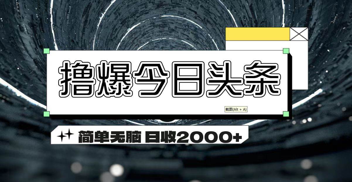 （11665期）撸爆今日头条 简单无脑操作 日收2000+-三石资源库