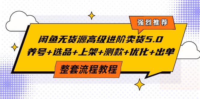 闲鱼无货源高级进阶卖货5.0，养号+选品+上架+测款+优化+出单整套流程教程-三石资源库