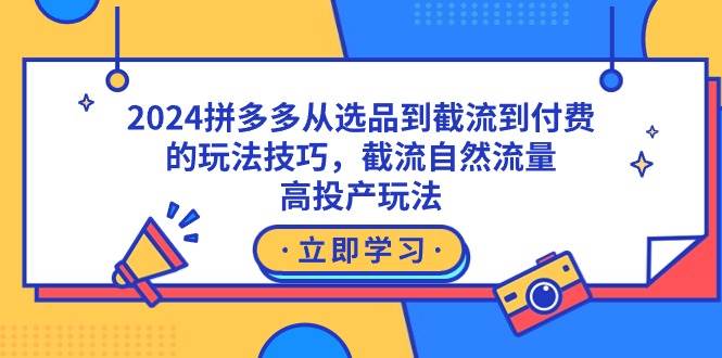 (9037期)2024拼多多从选品到截流到付费的玩法技巧,截流自然流量玩法,高投产玩法-三石资源库