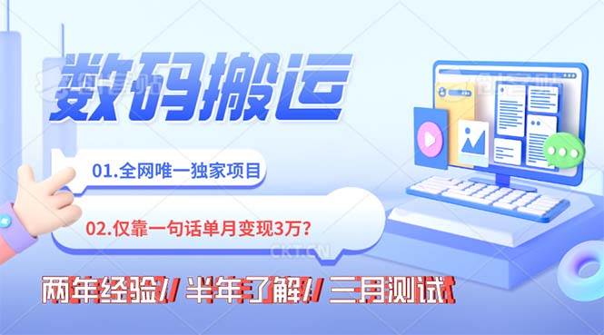 （8253期）年底最火持久副业,仅靠一句话一月变现3W?-三石淘金网