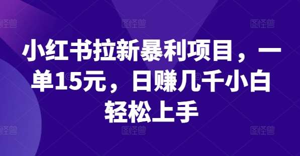 小红书拉新暴利项目，一单15元，日赚几千小白轻松上手【揭秘】-三石资源库