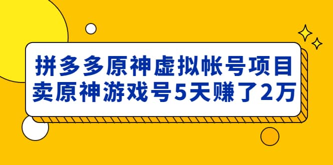 外面卖2980的拼多多原神虚拟帐号项目-三石资源库