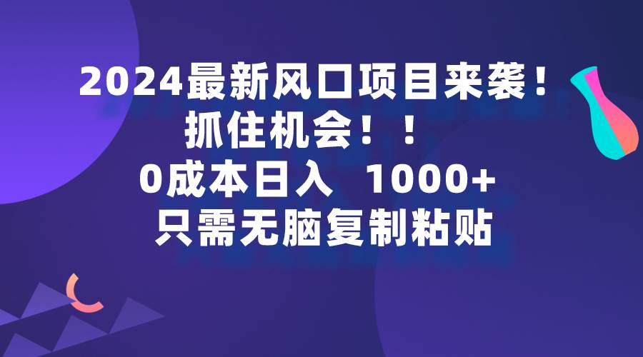 （9899期）2024最新风口项目来袭，抓住机会，0成本一部手机日入1000+，只需无脑复…-三石资源库