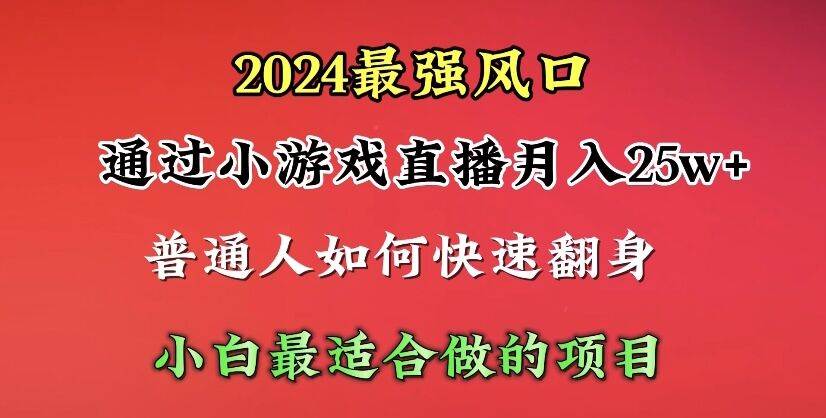 （10020期）2024年最强风口，通过小游戏直播月入25w+单日收益5000+小白最适合做的项目-三石资源库