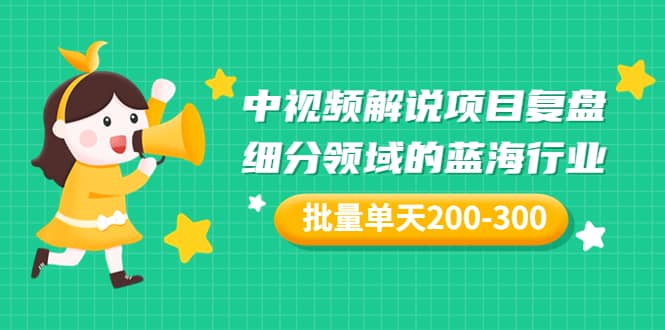 某付费文章：中视频解说项目复盘：细分领域的蓝海行业 批量单天200-300收益-三石资源库