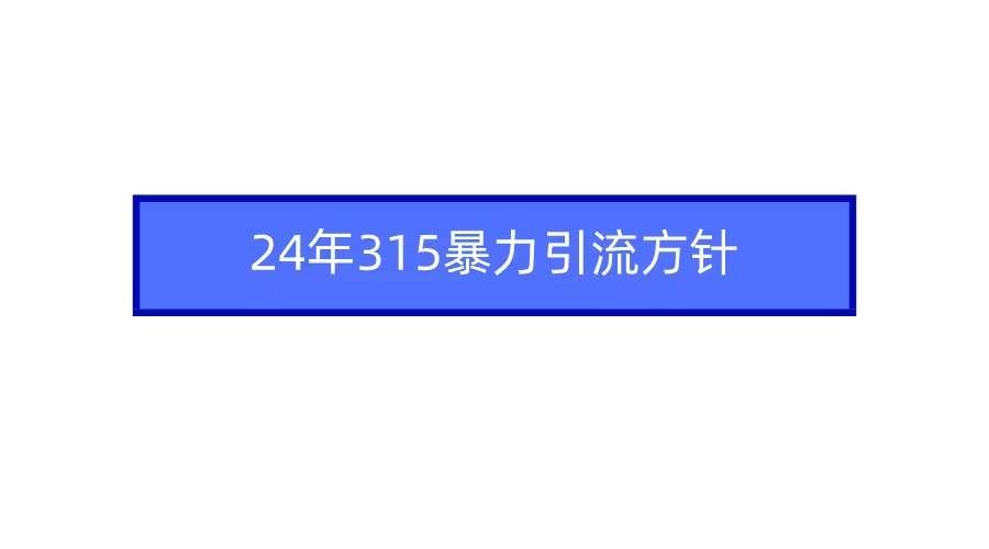 （9398期）2024年315暴力引流方针-三石资源库