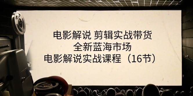 电影解说剪辑实战带货全新蓝海市场，电影解说实战课程（16节）-三石淘金网