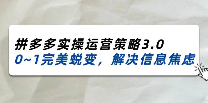 （11658期）2024_2025拼多多实操运营策略3.0，0~1完美蜕变，解决信息焦虑（38节）-三石资源库
