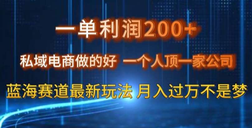 一单利润200私域电商做的好，一个人顶一家公司蓝海赛道最新玩法【揭秘】-三石淘金网