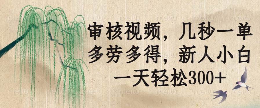 （14202期）审核视频，几秒一单，多劳多得，新人小白一天轻松300+-三石淘金网