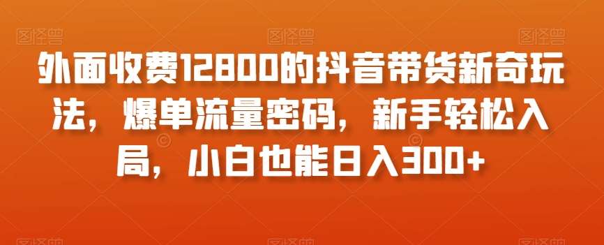 外面收费12800的抖音带货新奇玩法,爆单流量密码,新手轻松入局,小白也能日入300+【揭秘】-三石资源库