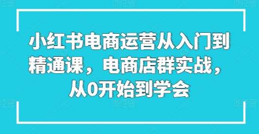小红书电商运营从入门到精通课，电商店群实战，从0开始到学会-三石资源库
