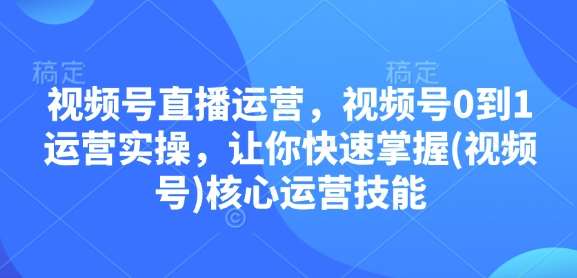 视频号直播运营，视频号0到1运营实操，让你快速掌握(视频号)核心运营技能-三石资源库