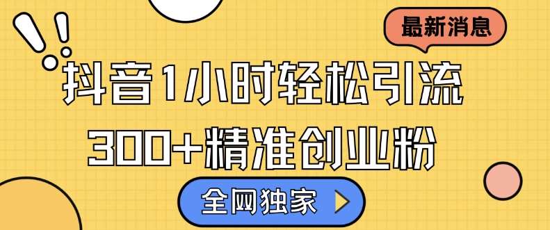 全网独家抖音引流，轻松日引300+精准创业粉【揭秘】-三石淘金网
