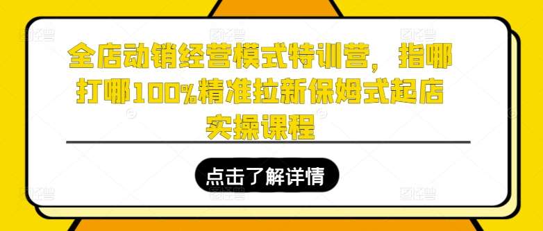 全店动销经营模式特训营，指哪打哪100%精准拉新保姆式起店实操课程-三石资源库