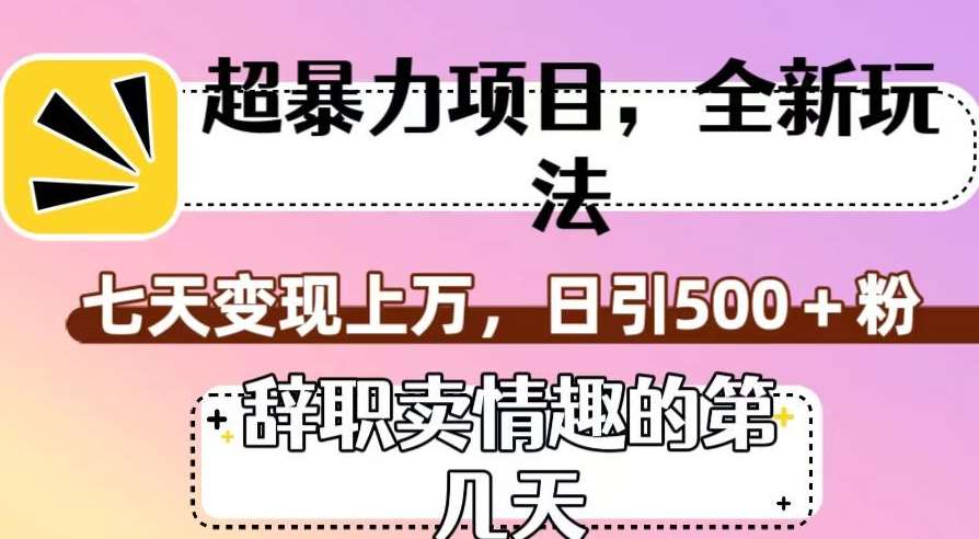 超暴利项目，全新玩法（辞职卖情趣的第几天），七天变现上万，日引500+粉【揭秘】-三石资源库