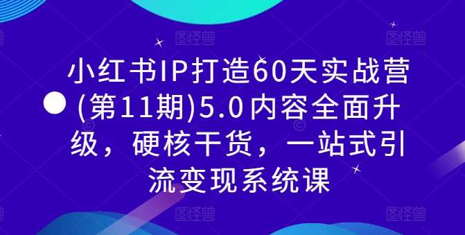小红书IP打造60天实战营(第11期)5.0​内容全面升级，硬核干货，一站式引流变现系统课-三石资源库