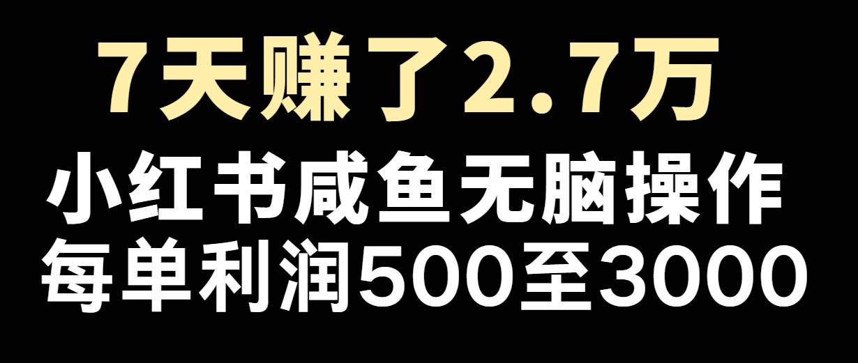 七天赚了2.7万！每单利润最少500+，轻松月入5万+小白有手就行-三石资源库