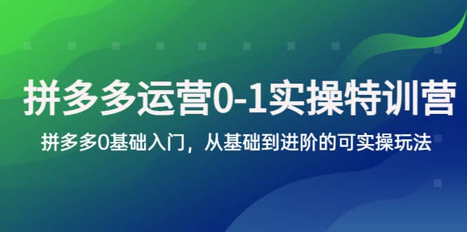 拼多多-运营0-1实操训练营，拼多多0基础入门，从基础到进阶的可实操玩法-三石资源库