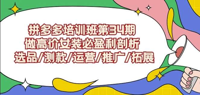 拼多多培训班第34期：做高价女装必盈利剖析选品/测款/运营/推广/拓展-三石资源库