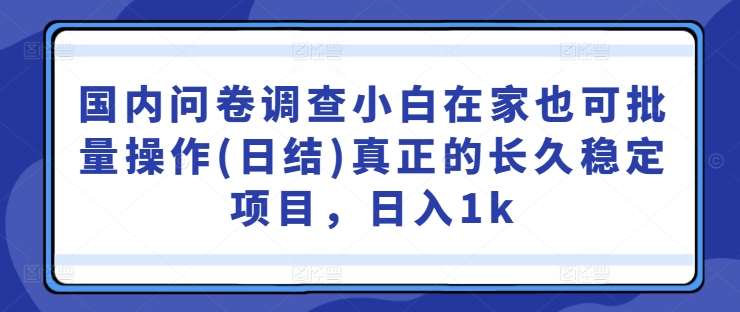 国内问卷调查小白在家也可批量操作(日结)真正的长久稳定项目，日入1k【揭秘】-三石淘金网