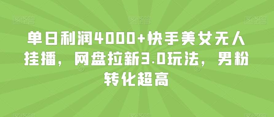 单日利润4000+快手美女无人挂播，网盘拉新3.0玩法，男粉转化超高【揭秘】-三石资源库