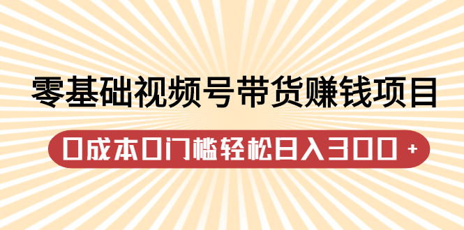 零基础视频号带货赚钱项目，0成本0门槛轻松日入300+【视频教程】-三石资源库