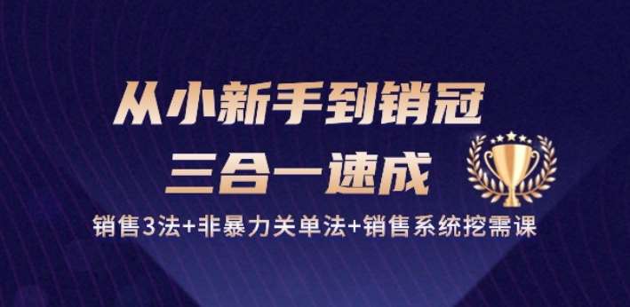 从小新手到销冠 三合一速成：销售3法+非暴力关单法+销售系统挖需课 (27节)-三石淘金网