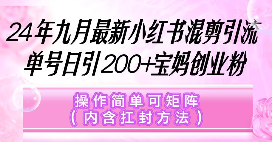 （12530期）小红书混剪引流，单号日引200+宝妈创业粉，操作简单可矩阵（内含扛封…-三石淘金网