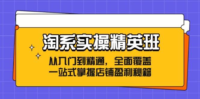 （12276期）淘系实操精英班：从入门到精通，全面覆盖，一站式掌握店铺盈利秘籍-三石资源库